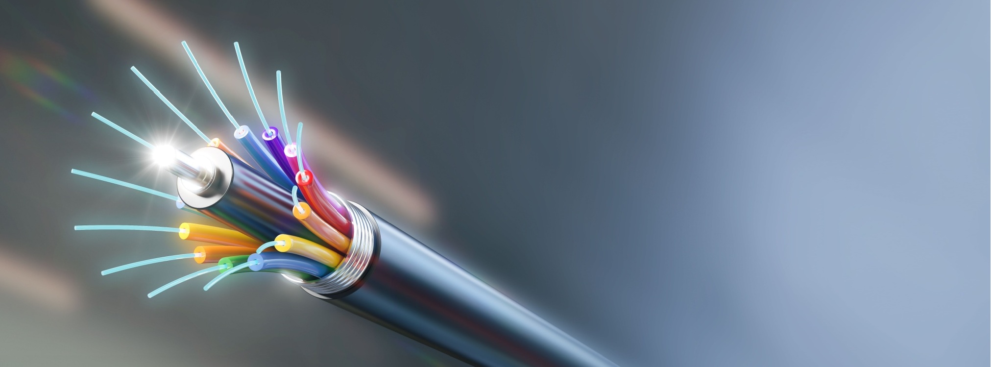 High-detail fibre optic cable with exposed coloured strands, representing telecoms infrastructure and large-scale organisational change